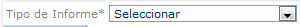 Tipo de Informe