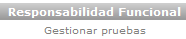 Responsabilidad Funcional