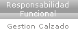 reponsabilidad funcional