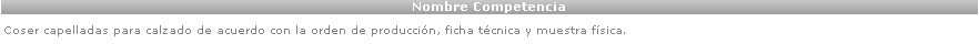 Nombre de la Competencia